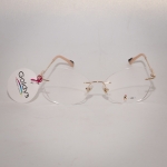 Дамски диоптрични рамки, марка Roberta di Camerino , модел RDV.323